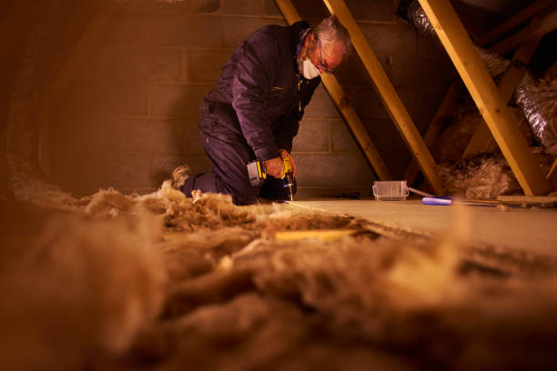 Best Attic Insulation Installation  in Port Orange, FL