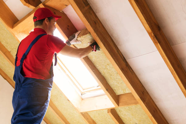 Best Attic Insulation Installation  in Port Orange, FL